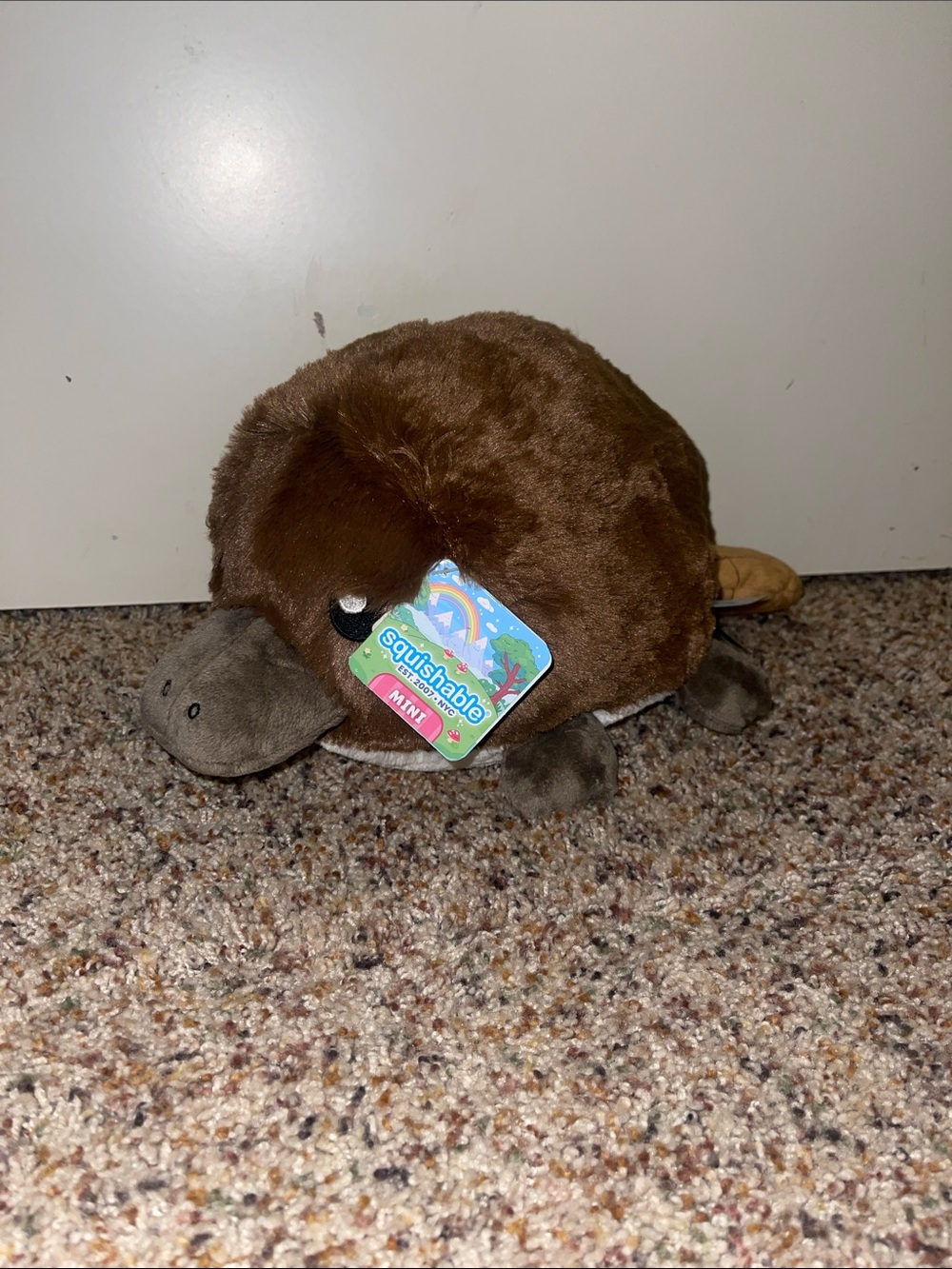 NEW❗️Platypus Squishable